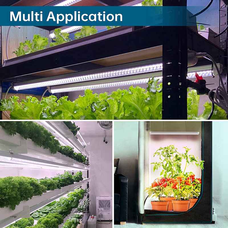 LED plant lights